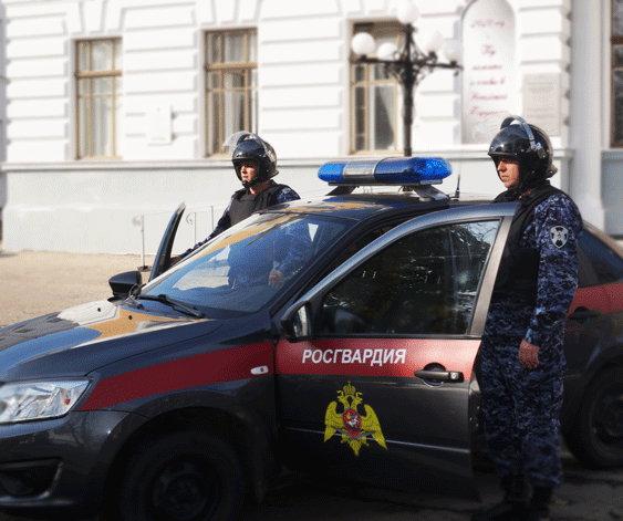 В Ульяновской области росгвардейцы задержали нетрезвого водителя