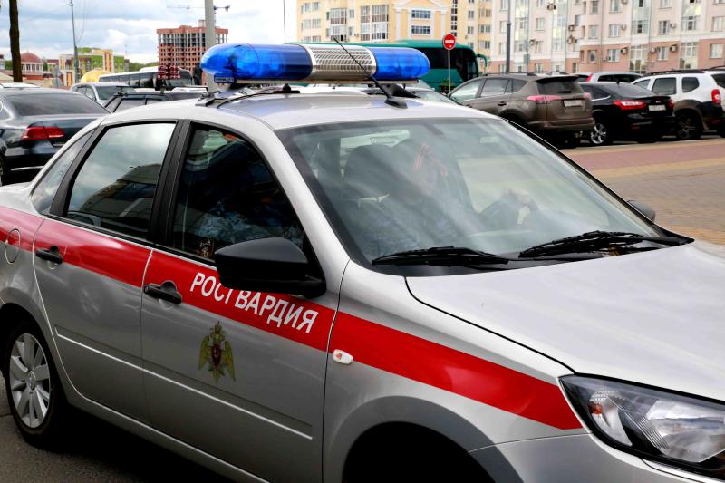 В Зубово-Поляне росгвардейцы оказали содействие сотрудникам ДПС в задержании нетрезвого водителя