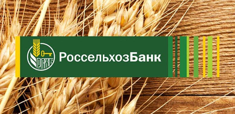 Россельхозбанк почти в полтора раза нарастил кредитование сезонных работ в Челябинской и Курганской областях