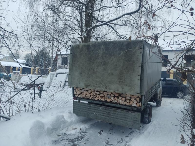 Депутат Канащук обеспечил запасом дров на зиму многодетную семью из Королева