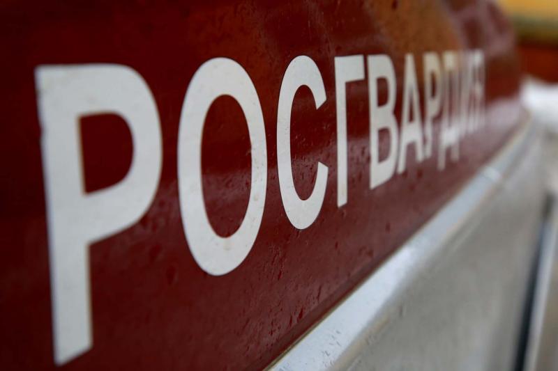 В Мордовии росгвардейцы задержали правонарушителя