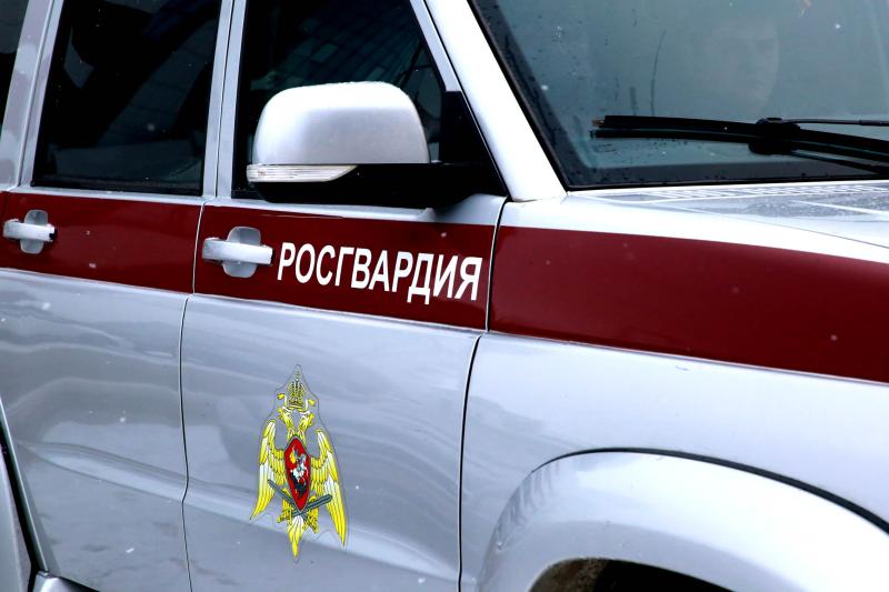 В Зубово-Поляне росгвардейцы выявили и задержали пьяного водителя