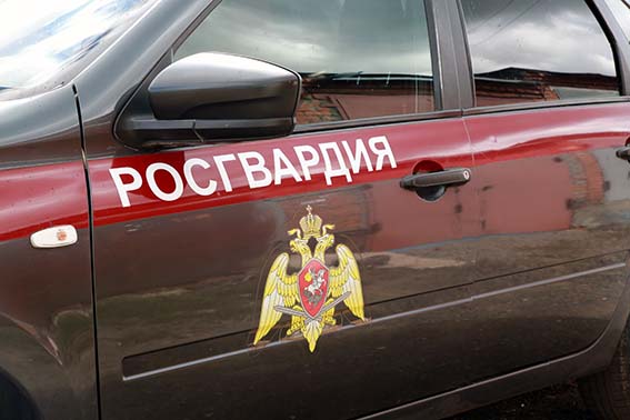 В Мордовии росгвардейцы задержали гражданку, по подозрению в нанесении побоев