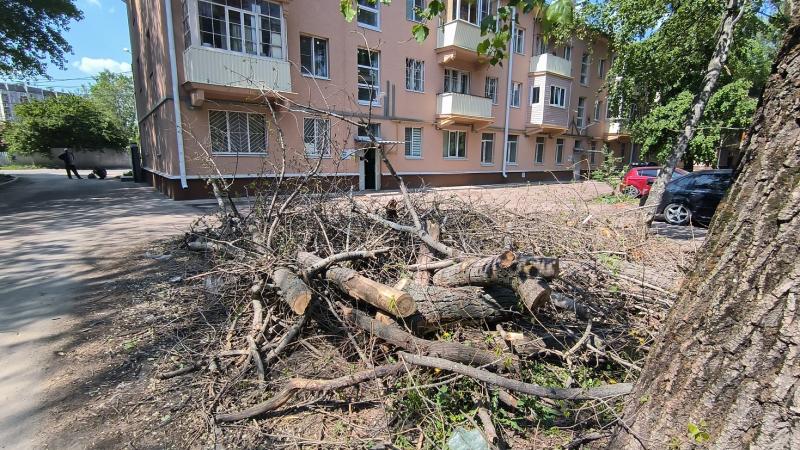 Тридцать три коммунальных несчастья пятиэтажки в центре Воронежа