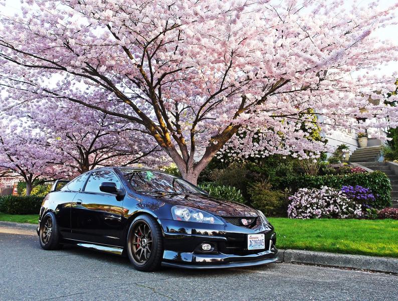 История поставок японских автомобилей в Россию