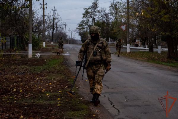 Сапёры Росгвардии обнаружили за месяц почти две тысячи взрывоопасных предметов в зоне СВО