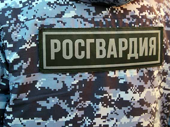 В Мордовии росгвардейцы выявили и задержали пьяного водителя