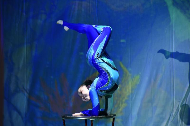 Дети, Россия, Культура, Концерт, 2023 - министр культуры Бурятии Соелма Дагаева,  министерство культуры Бурятии: "Бурятский госцирк гастролировал в Луганске" - Театр,