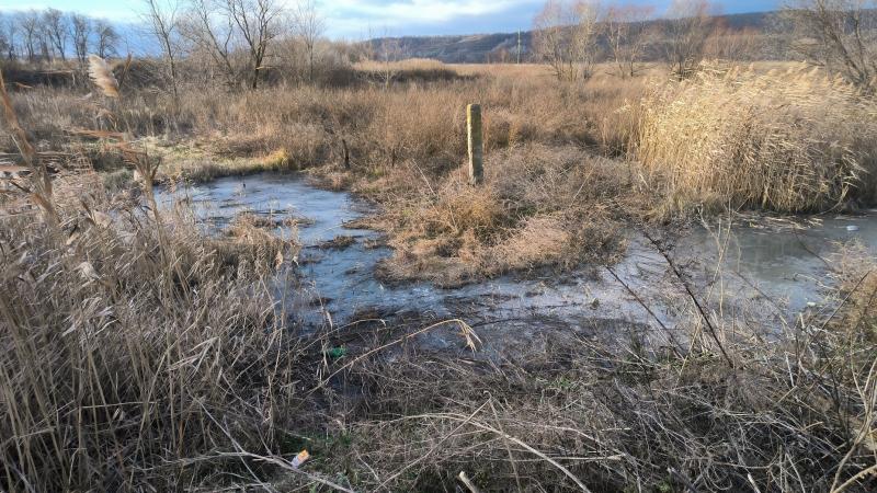 В пригороде Калача нечистоты сбрасывают в реку Толучеевку, на очистку которой выделено 50 млн рублей