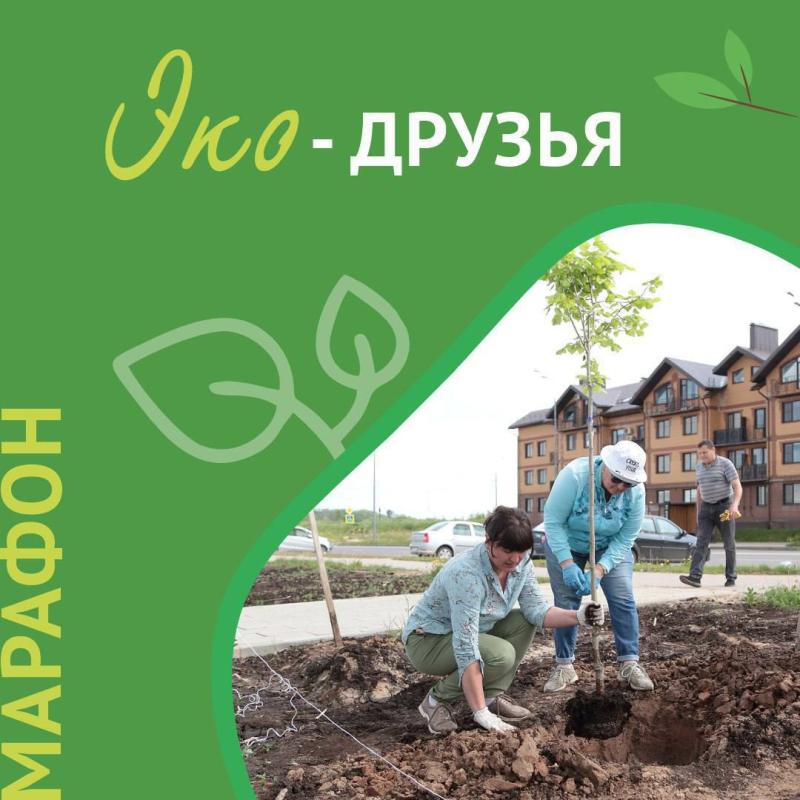 «ТНС энерго Великий Новгород» подвели итоги акции «ЭКО‑друзья ТНС энерго ВН»