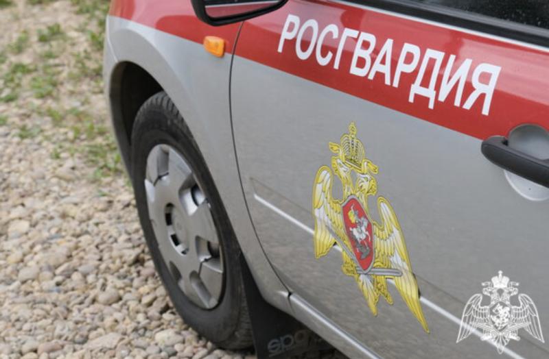 Росгвардейцы за неделю пресекли более 100 административных правонарушений в Смоленской области