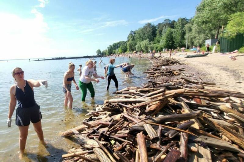 8 тонн топляка собрали на пляже «У моря Обского» в Новосибирске