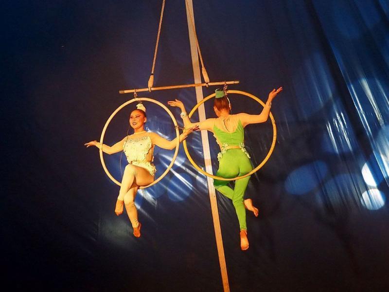 Россия и Дети: С Якутским цирком дружим, и мы счастливы участию в таком масштабном  фестивале - Театр и Цирк, Культура и Концерт