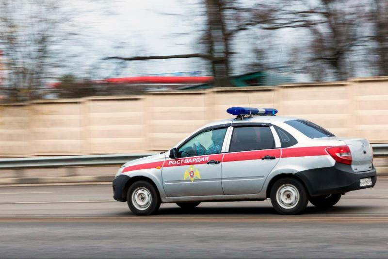 В Московской области сотрудники Росгвардии задержали подозреваемого в раннее совершенной краже
