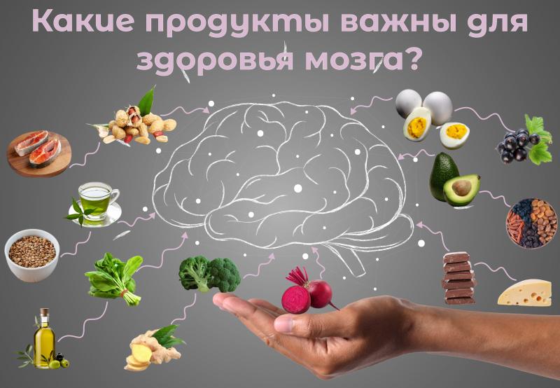 Какие продукты важны для здоровья мозга?