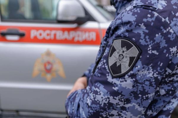 В Саранске за  сутки росгвардейцы задержали двух правонарушителей