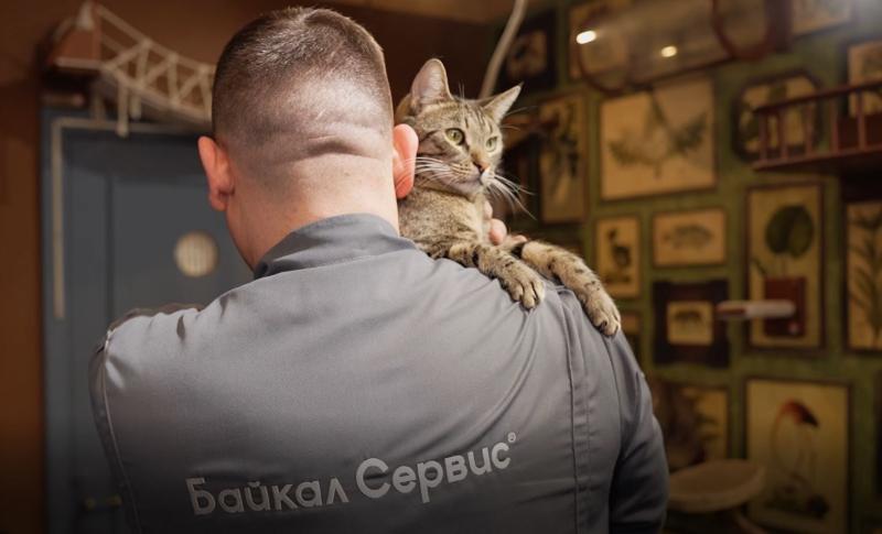 «Байкал Сервис» передал братьям нашим меньшим 2,5 тонны наполнителя