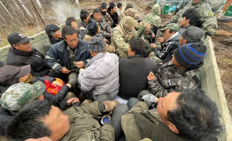 Сотрудники Росгвардии и ФСБ задержали группу нелегалов в ЕАО