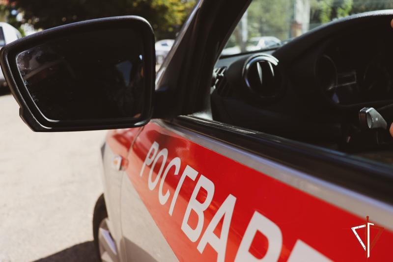 Росгвардейцы пресекли движение автомобиля под управлением нетрезвого водителя в Марий Эл