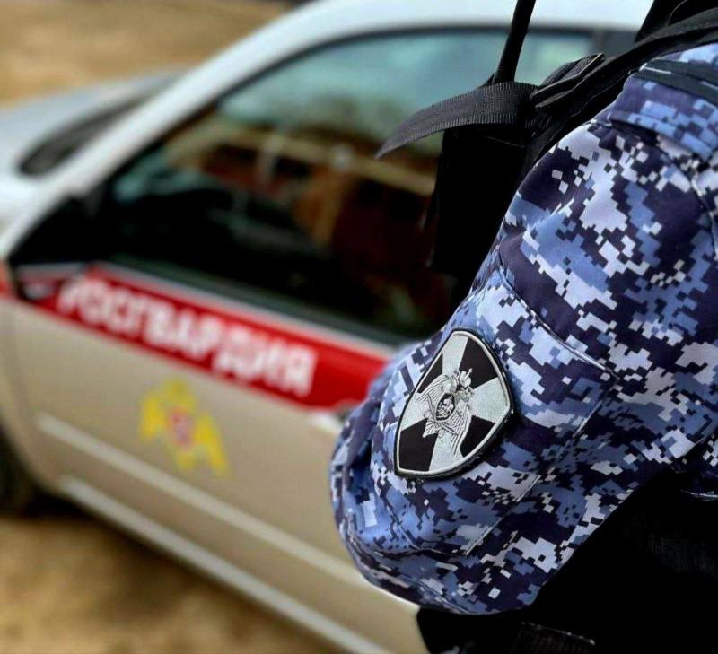 В Подмосковье сотрудники Росгвардии задержали подозреваемого в нападении на мужчину в Подмосковье