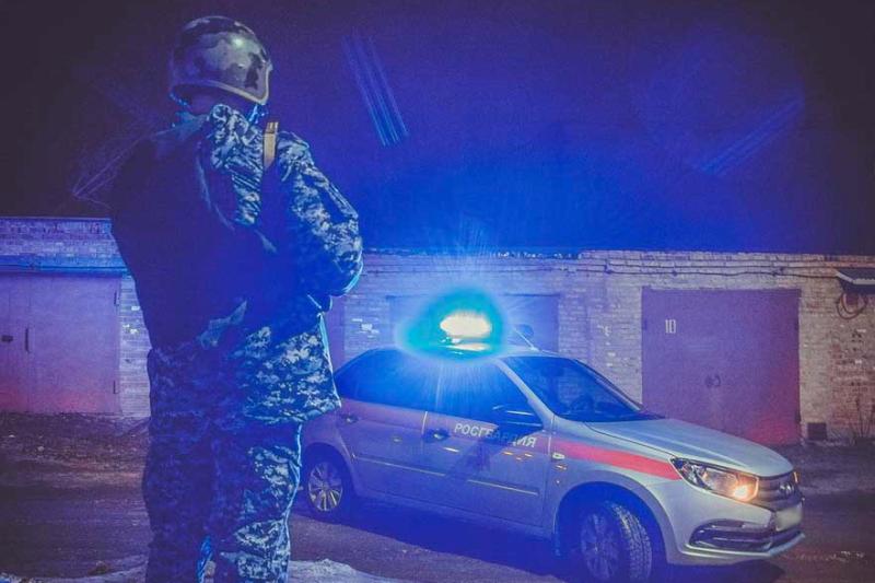 Росгвардейцы задержали предполагаемого вредителя припаркованного авто