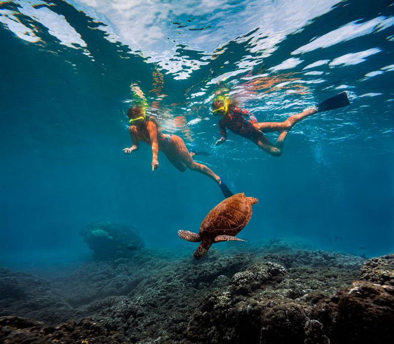 В поисках «голубого разума»