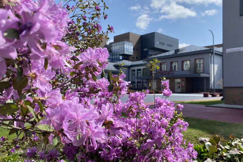 Спорт в жизни студентов: от ГТО до Кубка России по гимнастике