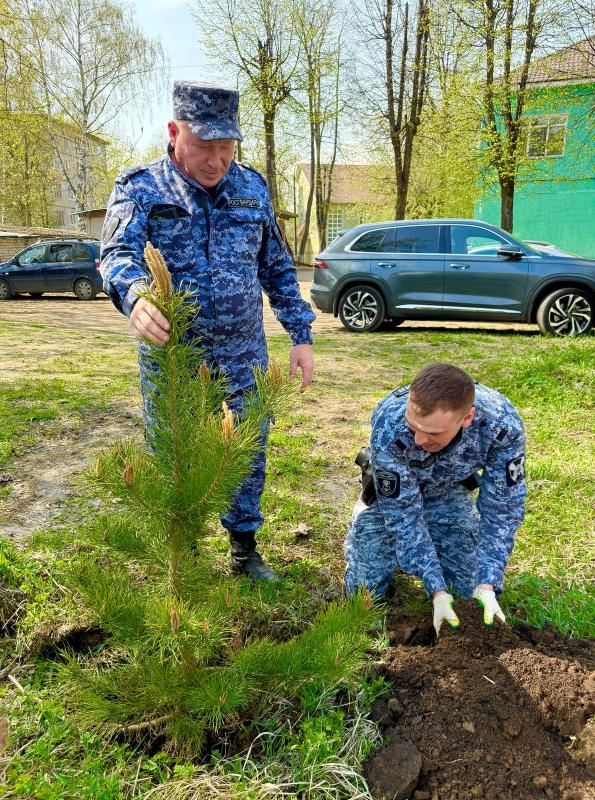 Лес победы на территории Дмитровского ОВО Росгвардии