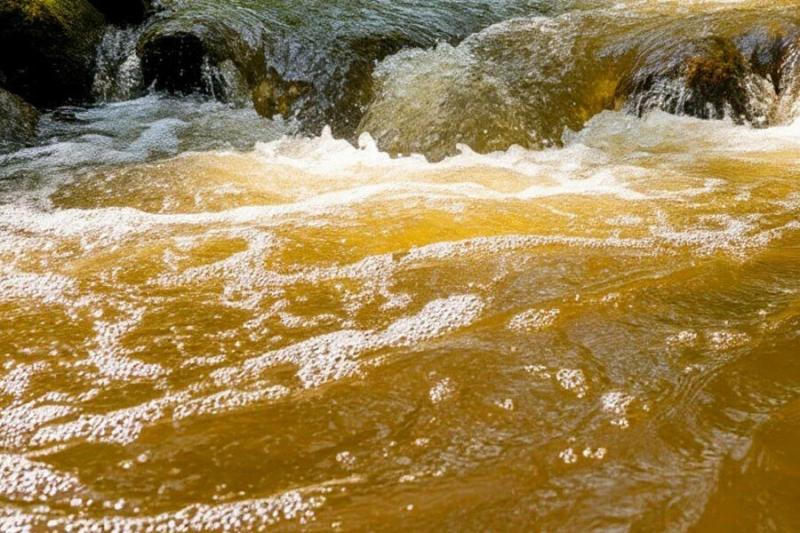 В Новосибирске планируют создать комиссию по предотвращению загрязнения малых рек