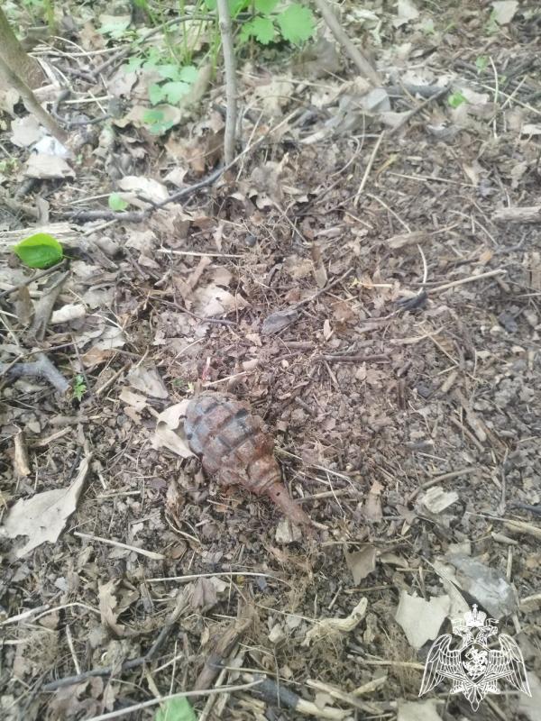 Во Владимирской области взрывотехники Росгвардии уничтожили гранату времен Великой Отечественной войны