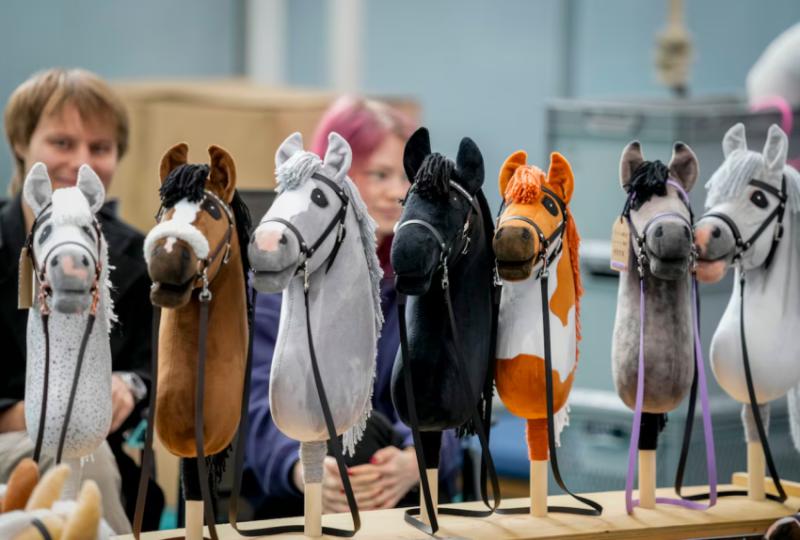 Что такое хоббихорсинг