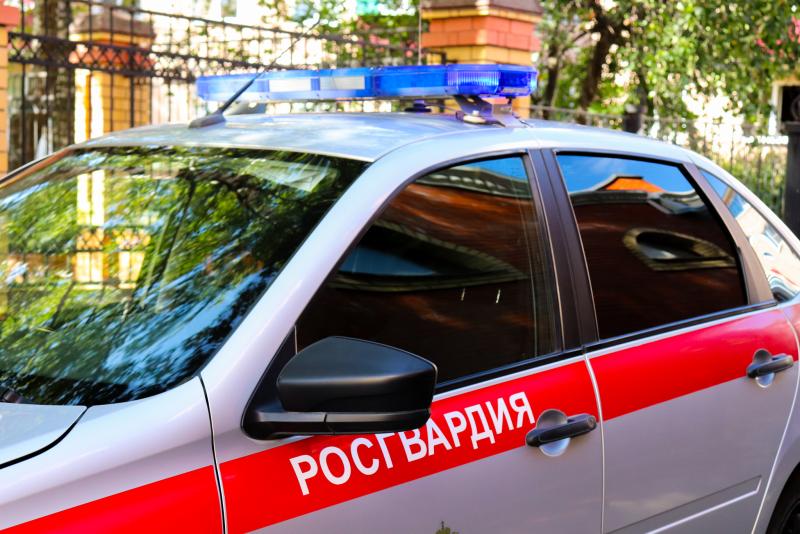 Сотрудники Росгвардии задержали гражданина, находящегося в федеральном розыске