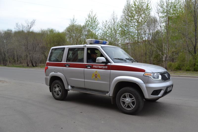 Гражданин, осуществивший наезд на объект инфраструктуры, задержан росгвардейцами ЕАО