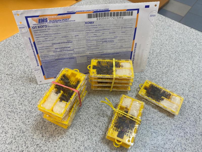 Почта России доставила в Бурятию «жужжащую» посылку