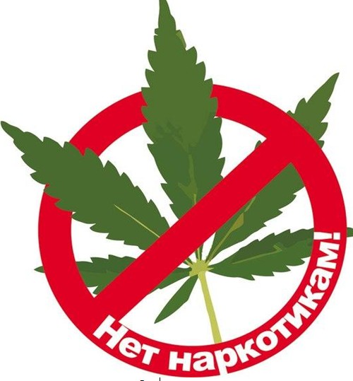 У местного жителя, осужденного за незаконное приобретение и хранение наркотических средств, конфискован мобильный телефон