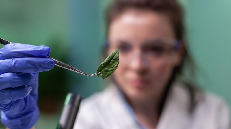 В ТГУ открыли набор на новый профиль подготовки