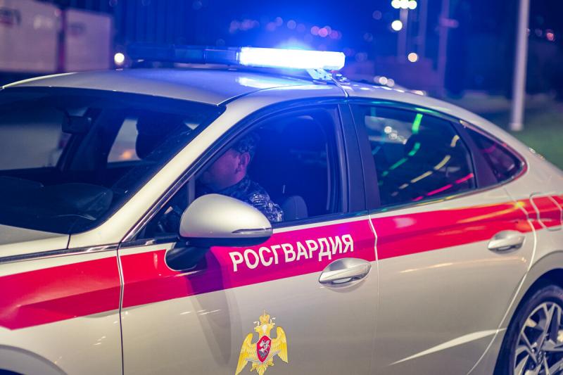 Росгвардейцы задержали мужчину, который мог нанести ранение кухонным ножом своему знакомому