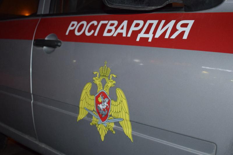 Росгвардейцы задержали мужчину, который может быть причастен к порче имущества в баре