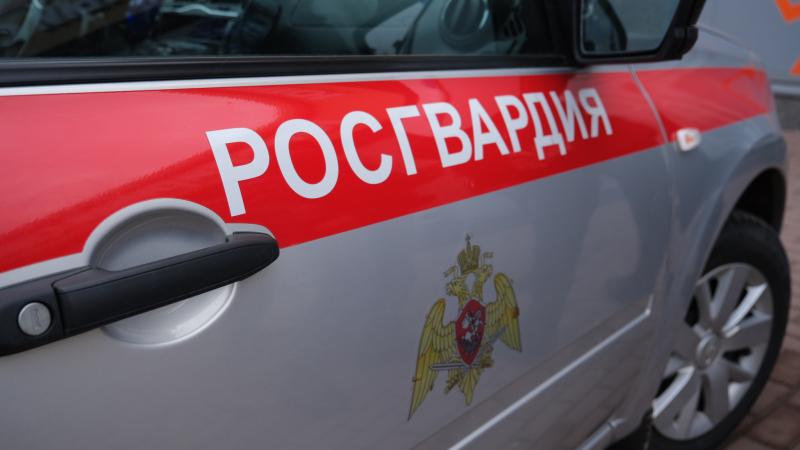 Росгвардейцы проверили за неделю более 70 владельцев оружия в Тамбовской области