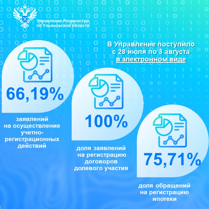 Электронные услуги (статистика) с 28 июля по 3 августа 2025 года