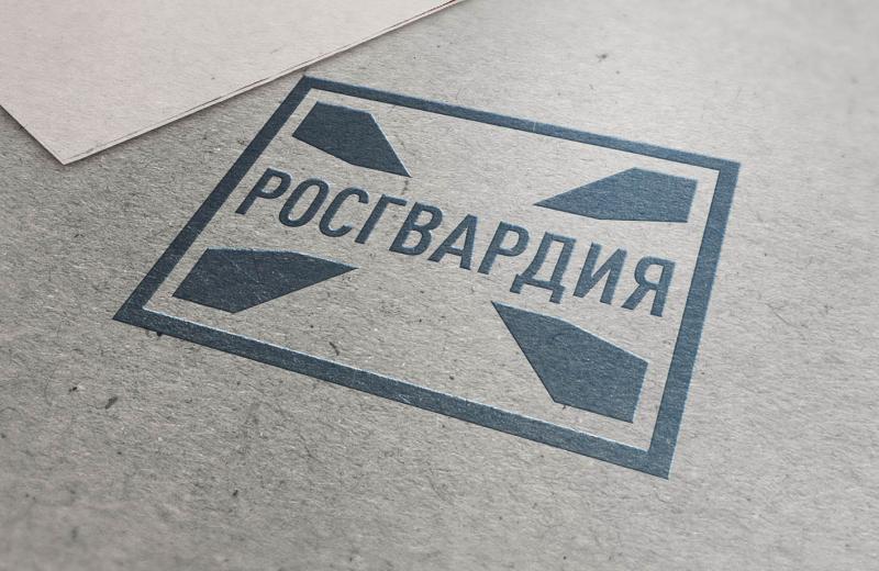 В Мордовии начальник Центра лицензионно-разрешительной работы территориального управления Росгвардии ответит на вопросы граждан