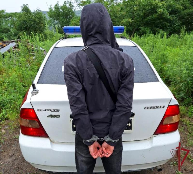 В Приморье сотрудники Росгвардии выявили 4 наркопреступления