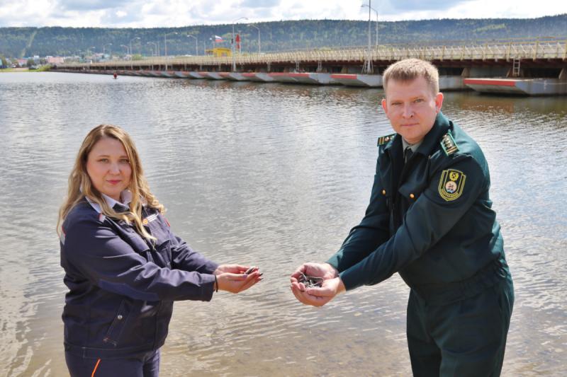 Уфимская ТЭЦ-2 выпустила 30 тысяч мальков стерляди в Павловское водохранилище