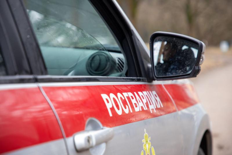 В Подмосковье сотрудники Росгвардии задержали гражданина, подозреваемого в краже 