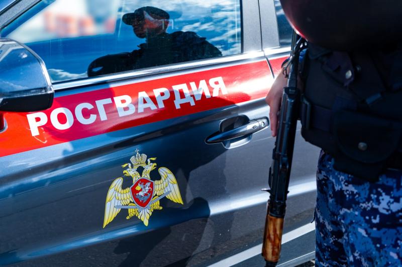 В Подмосковье сотрудники Росгвардии задержали подозреваемого в краже