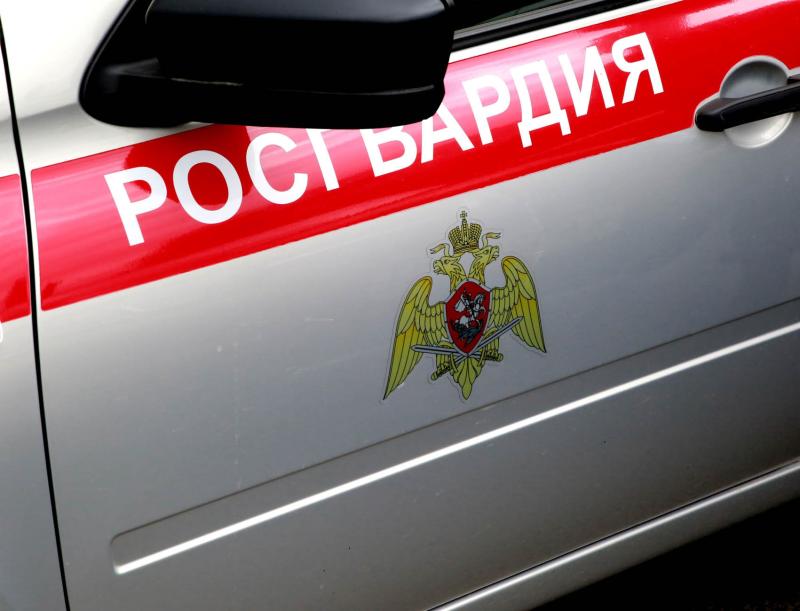 В Мордовии за неделю росгвардейцы 64 раза выезжали по сигналу "Тревога"