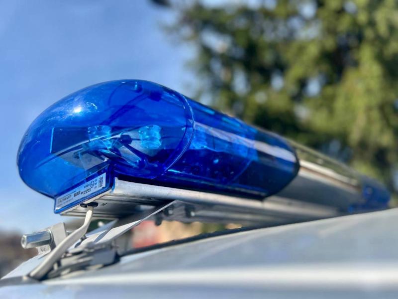 В Подмосковье сотрудники Росгвардии задержали подозреваемого в краже