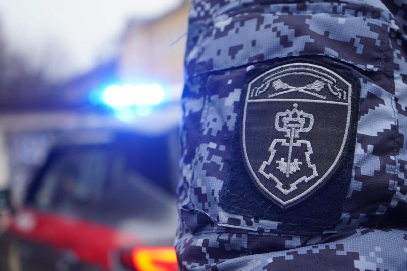 Росгвардейцы задержали рецидивистку, подозреваемую в краже из сетевого супермаркета в Подмосковье